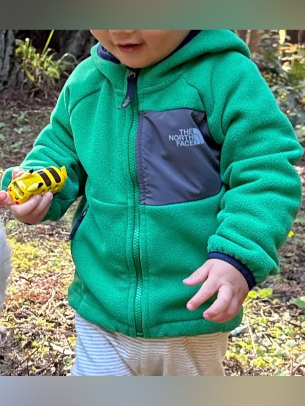 The North Face Chimborazo toddlers size 3T Fleece Lined Jacket Hoodie Green